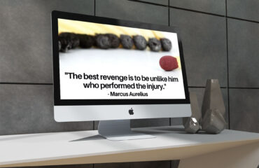best-revenge