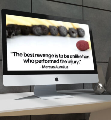 best-revenge