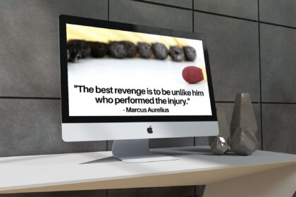 best-revenge best-revenge