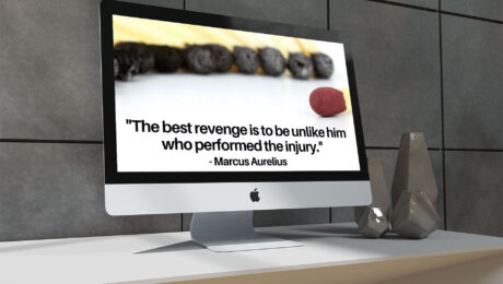 best-revenge
