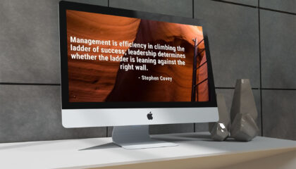 management-ladder