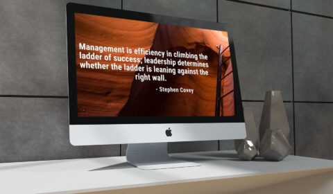 management-ladder